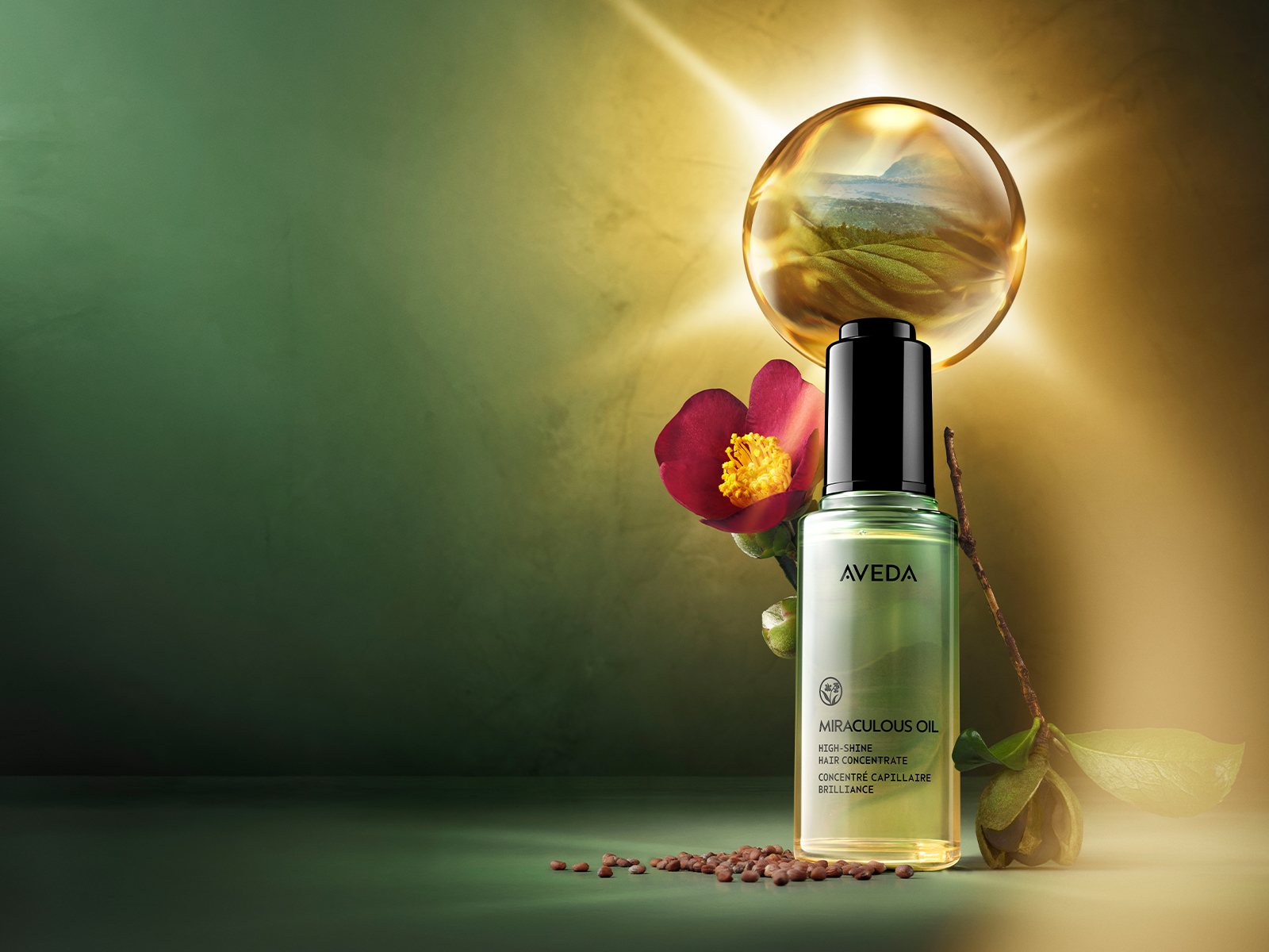Wellness Rituals